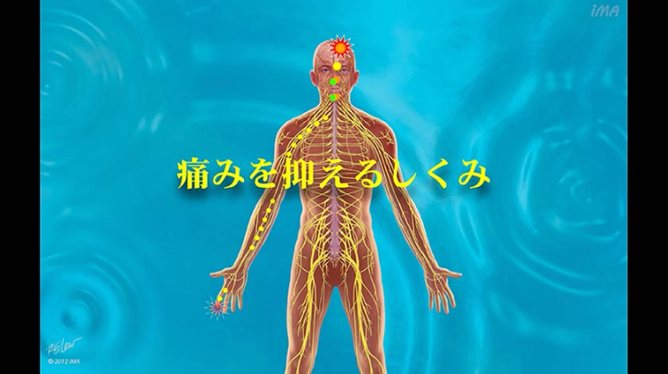 Chapter-5 痛みを抑えるしくみ