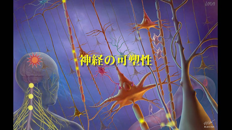 Chapter-7 神経の可塑性